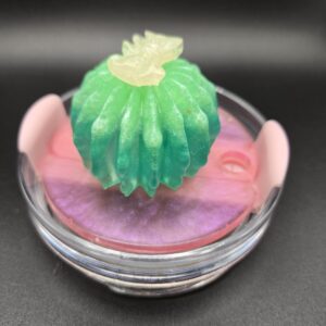 Colorful Cactus Topper!