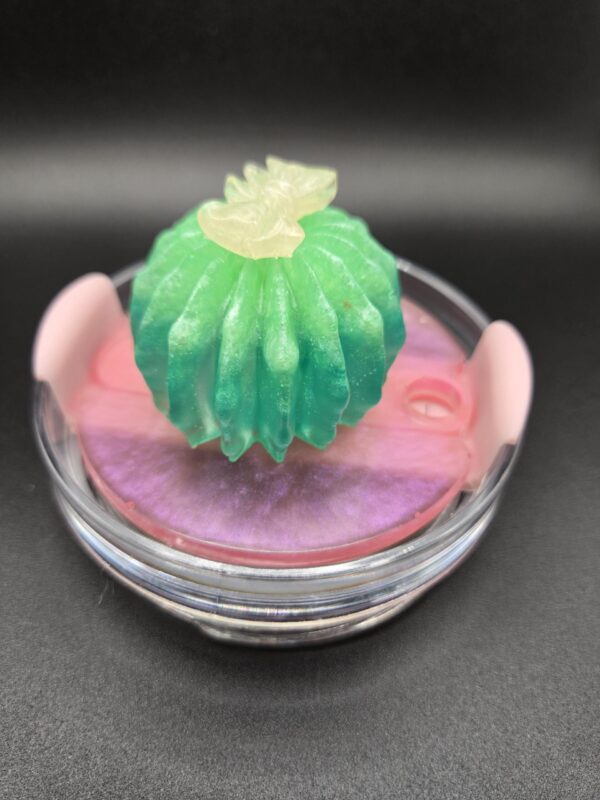 Colorful Cactus Topper!